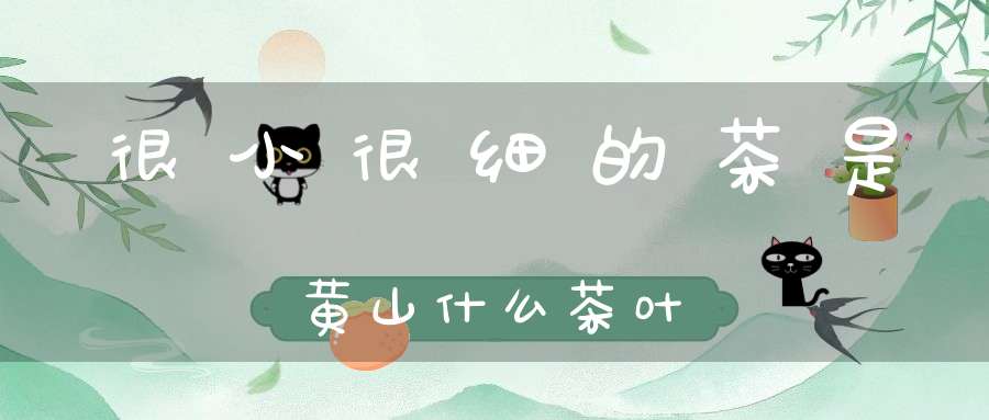 很小很细的茶是黄山什么茶叶
