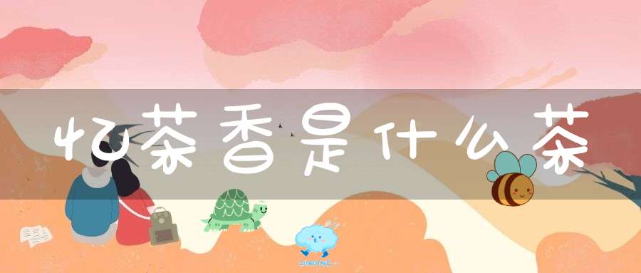 忆茶香是什么茶