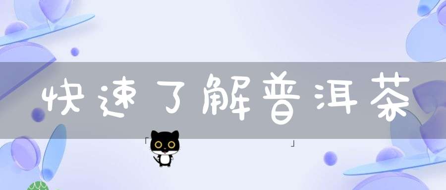 快速了解普洱茶