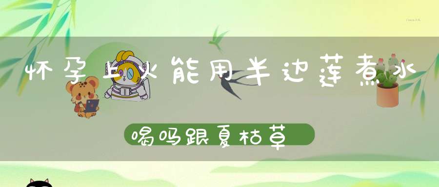 怀孕上火能用半边莲煮水喝吗跟夏枯草？