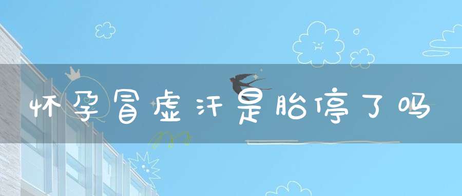 怀孕冒虚汗是胎停了吗