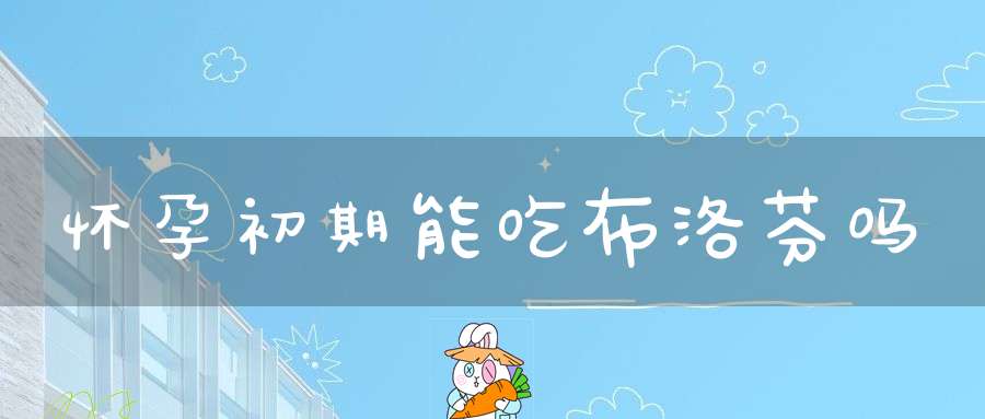 怀孕初期能吃布洛芬吗
