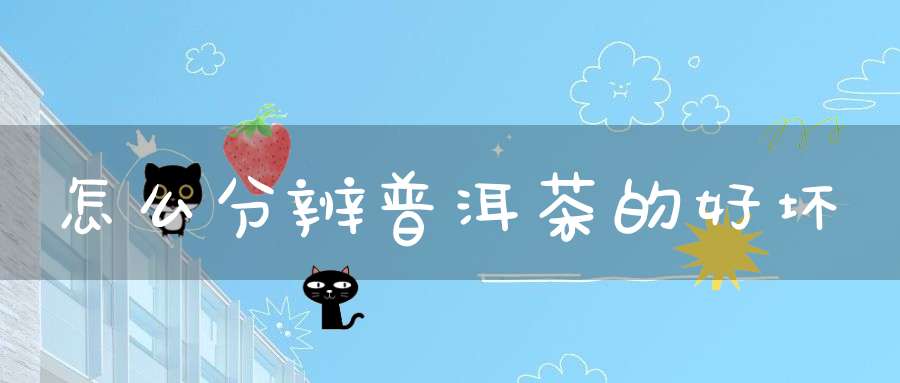 怎么分辨普洱茶的好坏