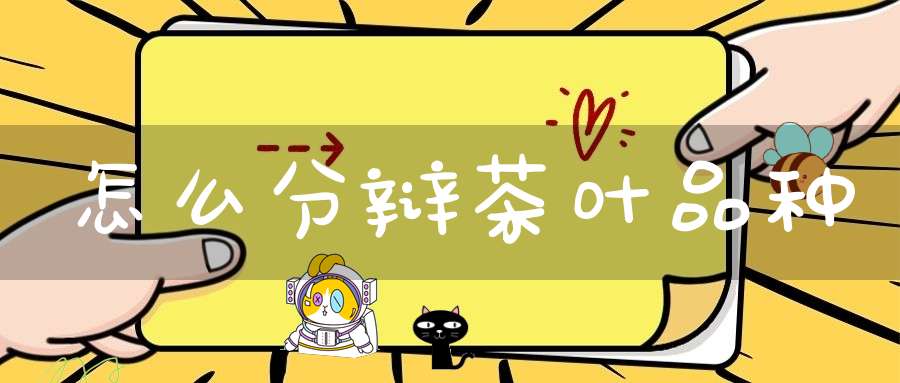 怎么分辩茶叶品种