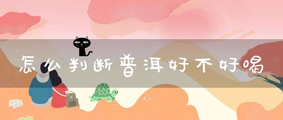 怎么判断普洱好不好喝