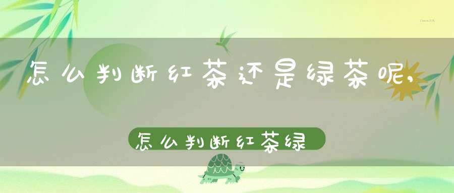 怎么判断红茶还是绿茶呢,怎么判断红茶绿茶的区别