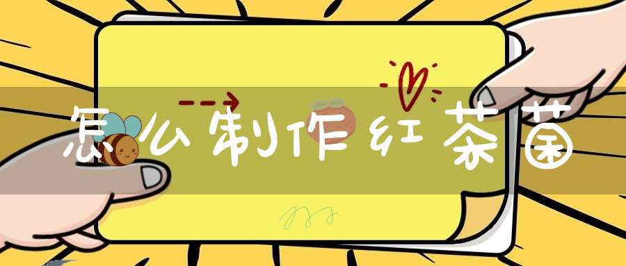 怎么制作红茶菌