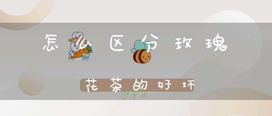 怎么区分玫瑰花茶的好坏