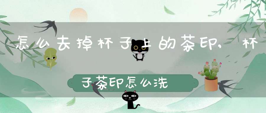 怎么去掉杯子上的茶印,杯子茶印怎么洗