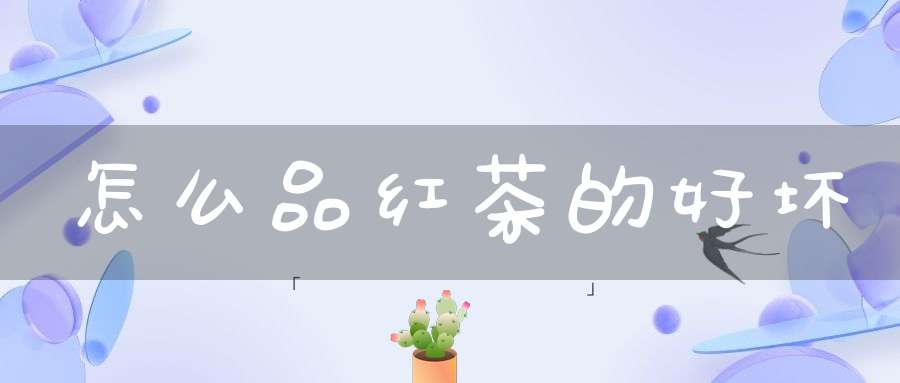 怎么品红茶的好坏