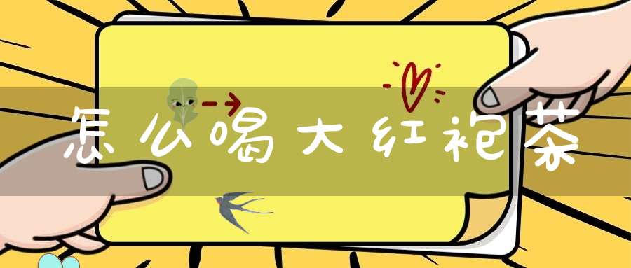 怎么喝大红袍茶