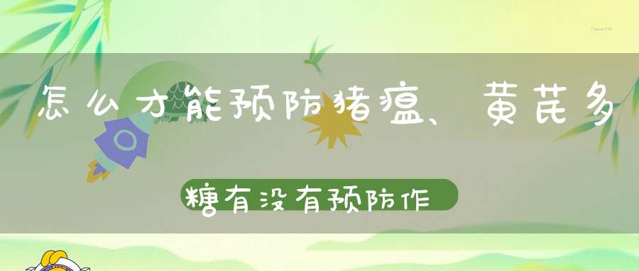 怎么才能预防猪瘟、黄芪多糖有没有预防作用？
