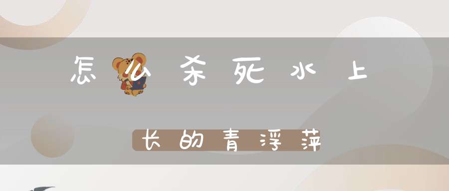 怎么杀死水上长的青浮萍？