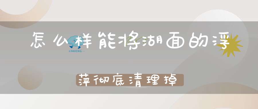 怎么样能将湖面的浮萍彻底清理掉？