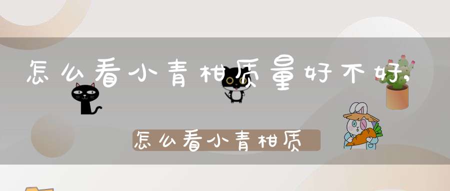 怎么看小青柑质量好不好,怎么看小青柑质量好坏