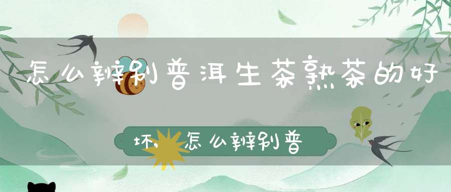 怎么辨别普洱生茶熟茶的好坏,怎么辨别普洱生茶熟茶还是生茶