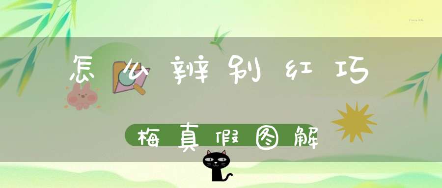 怎么辨别红巧梅真假图解