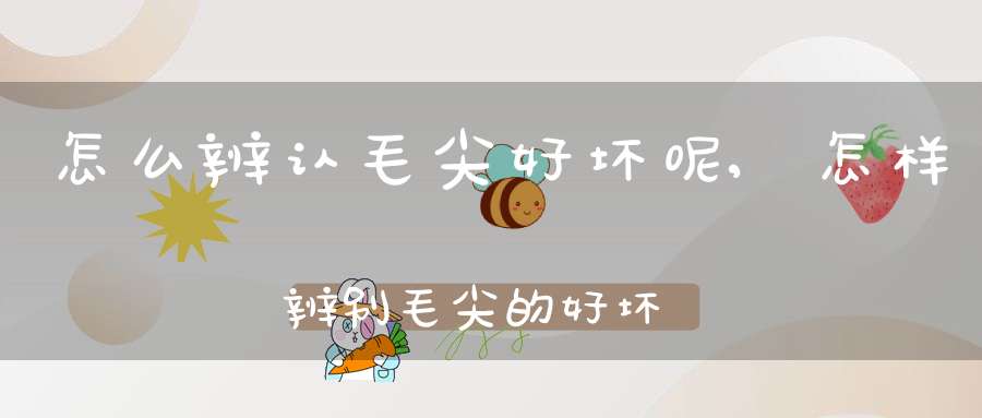 怎么辨认毛尖好坏呢,怎样辨别毛尖的好坏