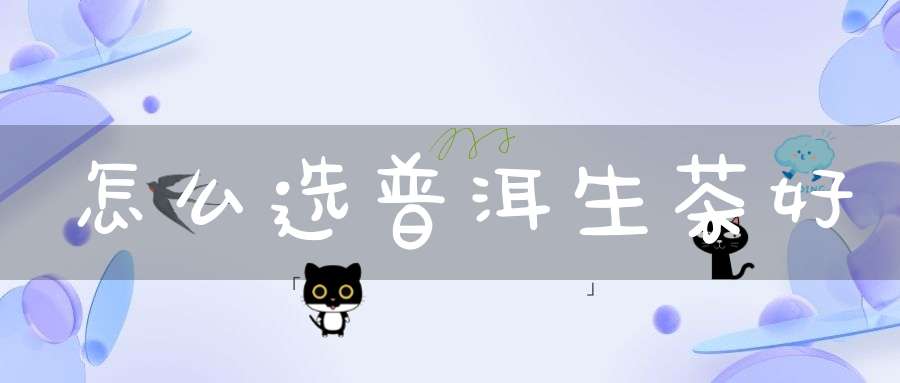 怎么选普洱生茶好
