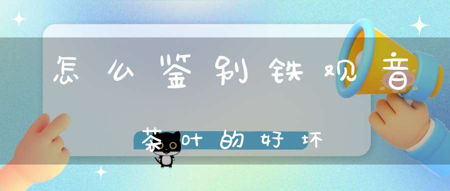 怎么鉴别铁观音茶叶的好坏