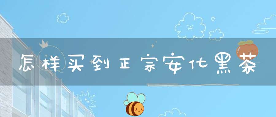 怎样买到正宗安化黑茶