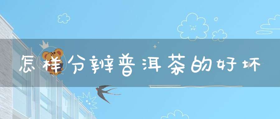 怎样分辨普洱茶的好坏