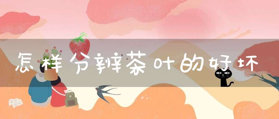 怎样分辨茶叶的好坏