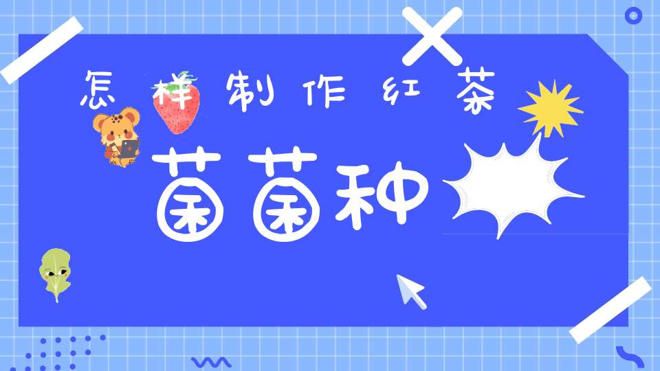 怎样制作红茶菌菌种