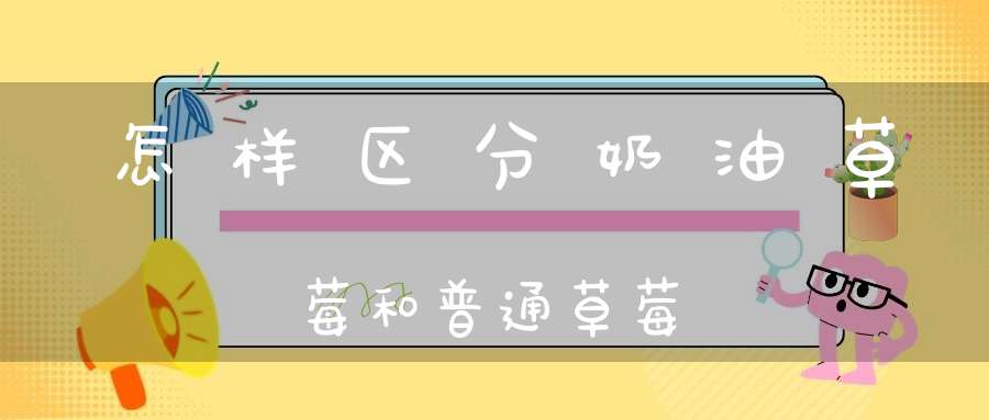 怎样区分奶油草莓和普通草莓？