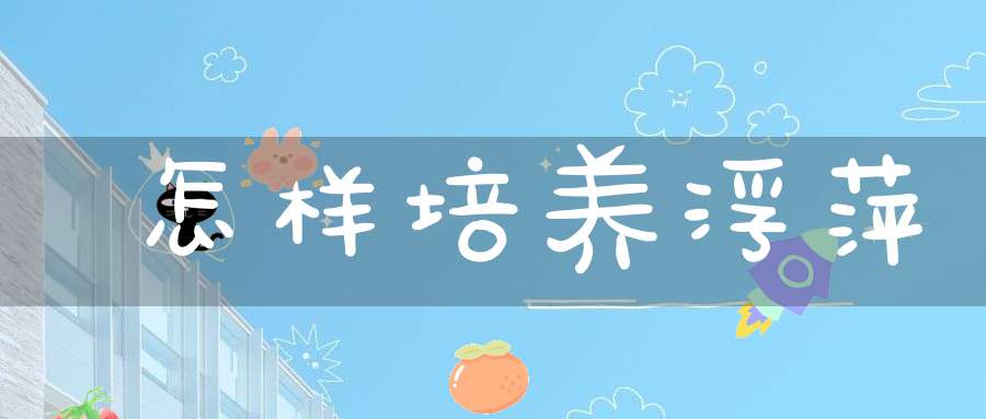 怎样培养浮萍？