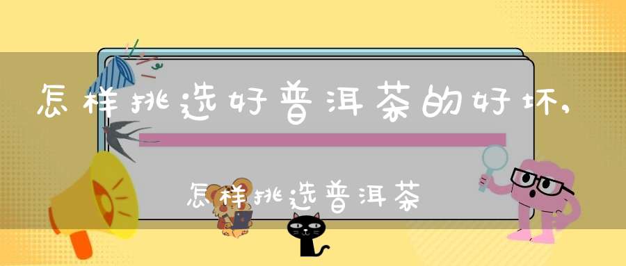 怎样挑选好普洱茶的好坏,怎样挑选普洱茶茶饼