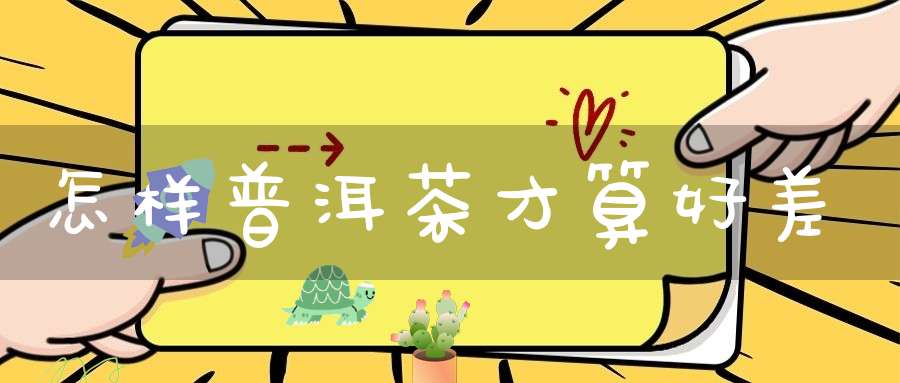 怎样普洱茶才算好差