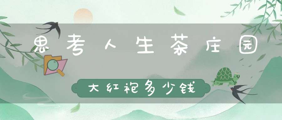 思考人生茶庄园大红袍多少钱