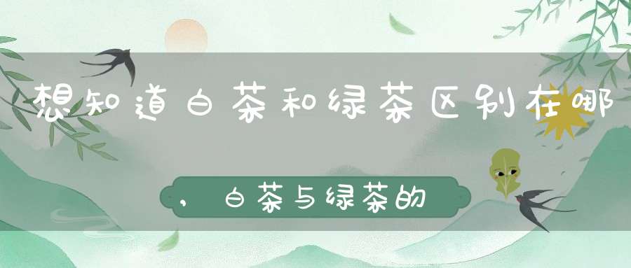 想知道白茶和绿茶区别在哪,白茶与绿茶的5大区别,你一定要掌握!