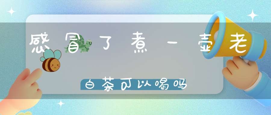 感冒了煮一壶老白茶可以喝吗