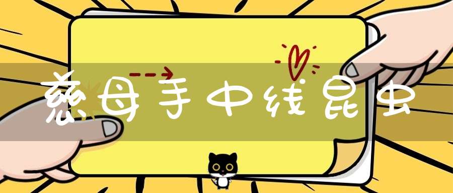 慈母手中线  昆虫