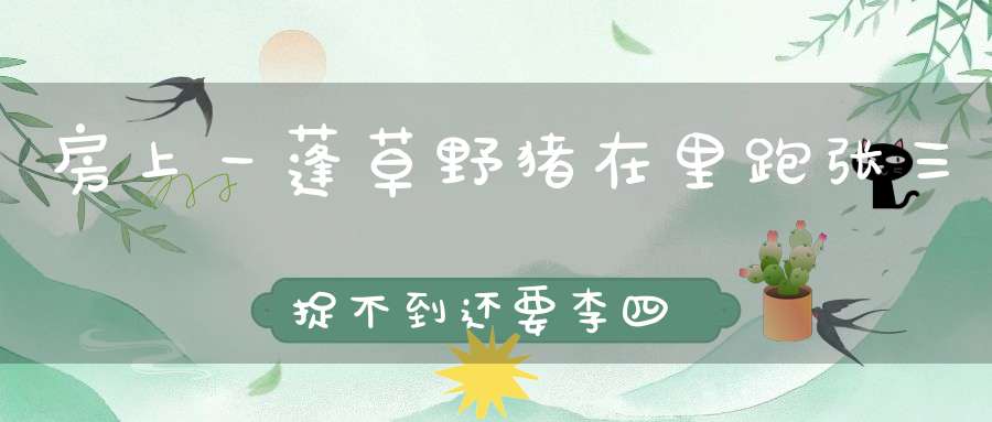 房上一蓬草，野猪在里跑，张三捉不到，还要李四找。 （猜一动物）