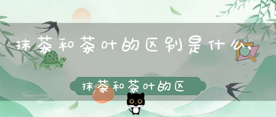 抹茶和茶叶的区别是什么,抹茶和茶叶的区别在哪里