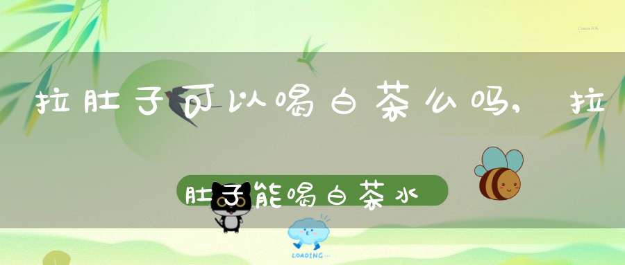拉肚子可以喝白茶么吗,拉肚子能喝白茶水吗