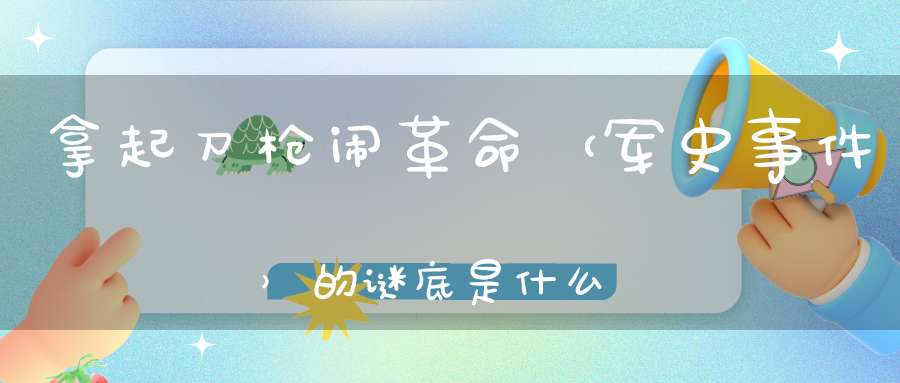 拿起刀枪闹革命 （军史事件）的谜底是什么?