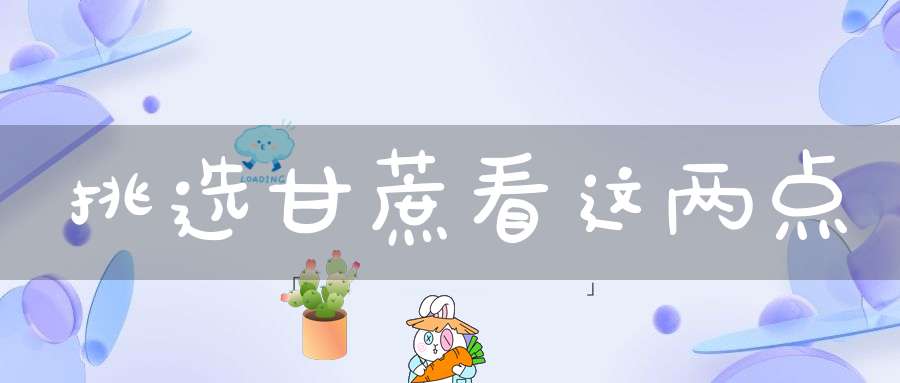 挑选甘蔗看这两点