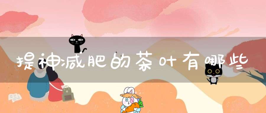 提神减肥的茶叶有哪些