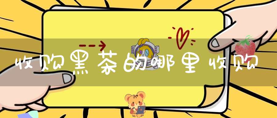 收购黑茶的哪里收购