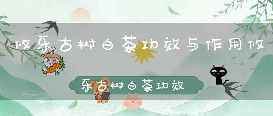 攸乐古树白茶功效与作用攸乐古树白茶功效和作用