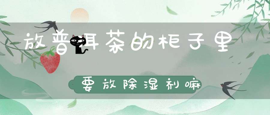 放普洱茶的柜子里要放除湿剂嘛