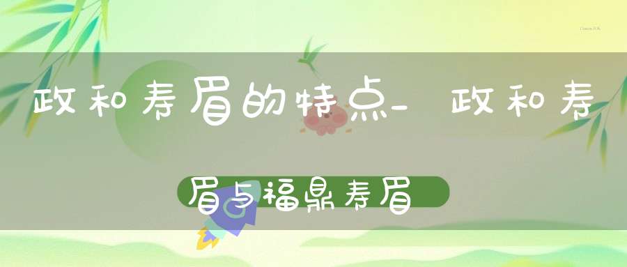 政和寿眉的特点_政和寿眉与福鼎寿眉
