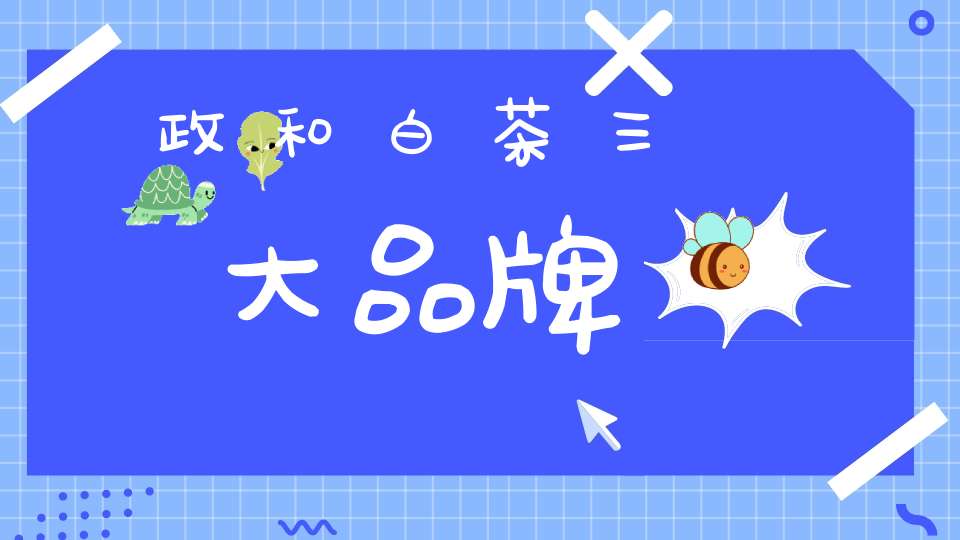 政和白茶三大品牌