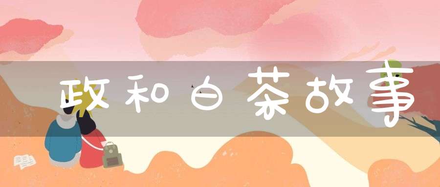 政和白茶故事