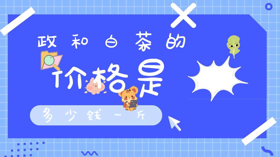 政和白茶的价格是多少钱一斤
