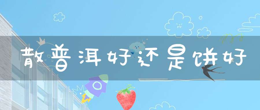 散普洱好还是饼好